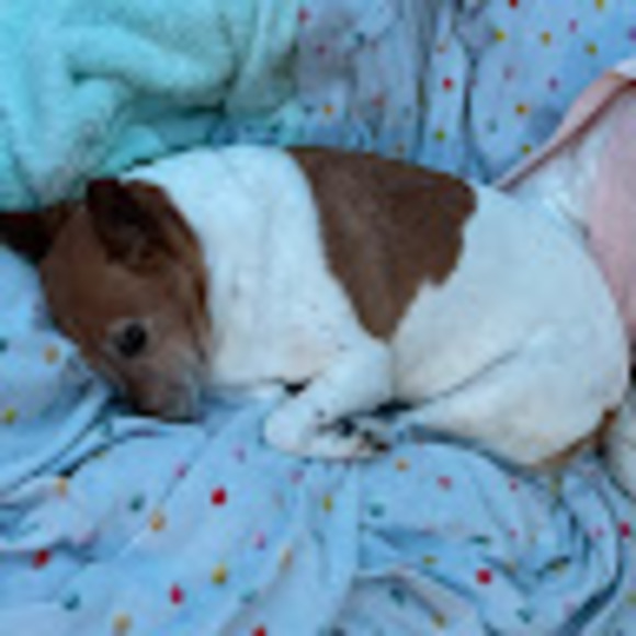 Meet your Posher, Taryn - Picture 1 of 1